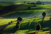 Green Giloow wystawa fotografii Jolanty Szabłowskiej tym razem w Rybniku