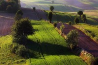 GreenGiloow.com - Wystawa fotografii Jolanty Szbłowskiej