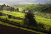 GreenGiloow.com - Wystawa fotografii Jolanty Szbłowskiej