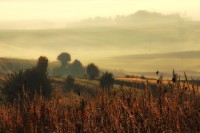 GreenGiloow.com - Wystawa fotografii Jolanty Szbłowskiej