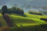 GreenGiloow.com - Wystawa fotografii Jolanty Szbłowskiej