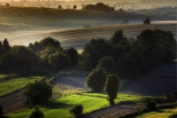 GreenGiloow.com - Wystawa fotografii Jolanty Szbłowskiej