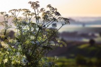 GreenGiloow.com - Wystawa fotografii Jolanty Szbłowskiej