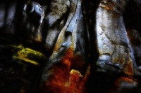 Wystawa fotografii "Oswajanie zaświatów"